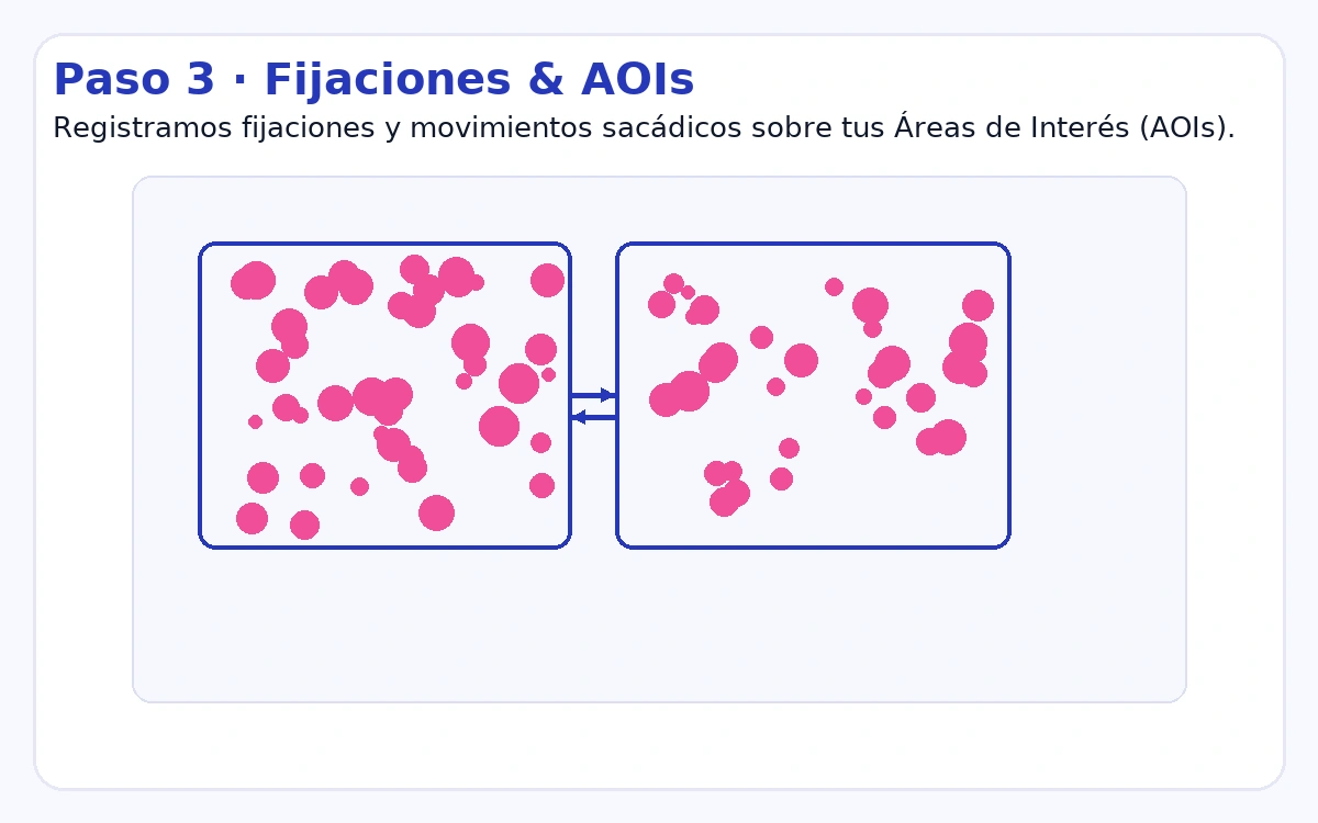 Paso 3: Registro de fijaciones y áreas de interés (AOIs)